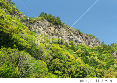 春の遠見山 岐阜県川辺町 春の遠見山 岐阜県川辺町 110193191