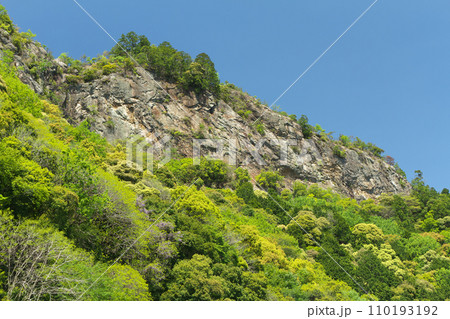 春の遠見山　岐阜県川辺町 110193192
