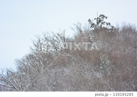 雪の野山 110193285