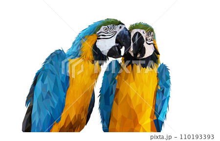 transparency Polygon Graphics Blue and yellow two macaw parrot illustration 110193393