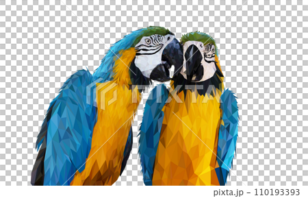 transparency Polygon Graphics Blue and yellow two macaw parrot illustration 110193393
