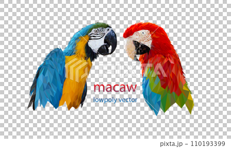 Polygon Graphics two bird macaw parrot illustration transparency Polygon Graphics two bird macaw parrot illustration transparency 110193399