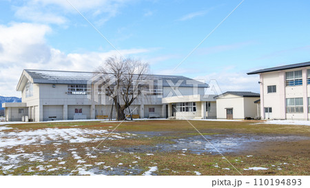 校庭にそびえるヤナギの古木 秋田県 校庭にそびえるヤナギの古木 秋田県 110194893