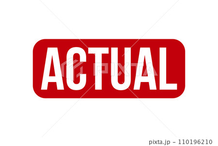 Actual Rubber Stamp Seal Vector 110196210