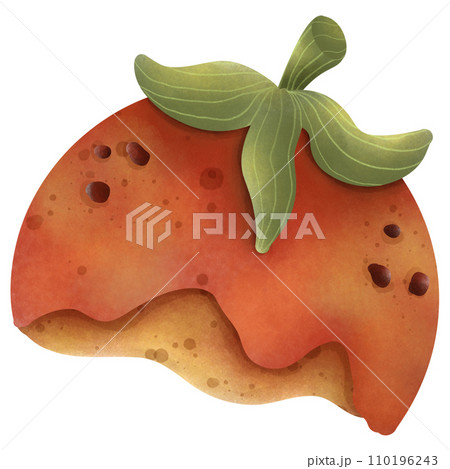 Illustration of tomato food scraps for composting. Illustration of tomato food scraps for composting. 110196243