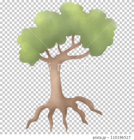 Illustration of trees for the world 110196527