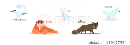 Funny Wild Polar Animal as Fauna of Arctic Vector Set Funny Wild Polar Animal as Fauna of Arctic Vector Set 110197544