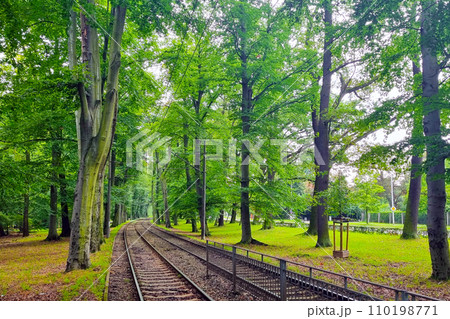 View of an empty tramway in the park. 110198771