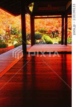 床紅葉は源光庵 床紅葉は源光庵 110199133
