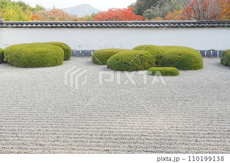 正伝寺の秋 110199138