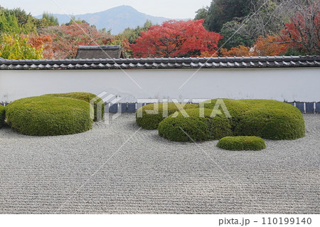 正伝寺の秋 正伝寺の秋 110199140