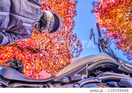 横浜市都筑区　紅葉ツーリング 110199486