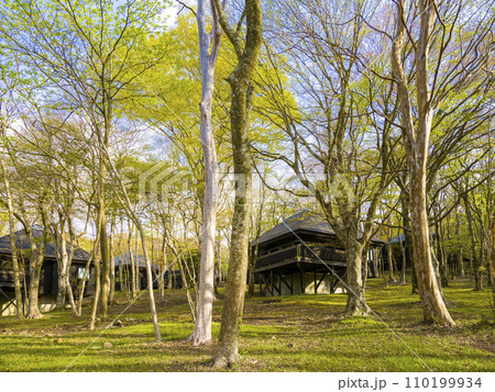 箱根・芦ノ湖キャンプ村 / Hakone, Japan 110199934