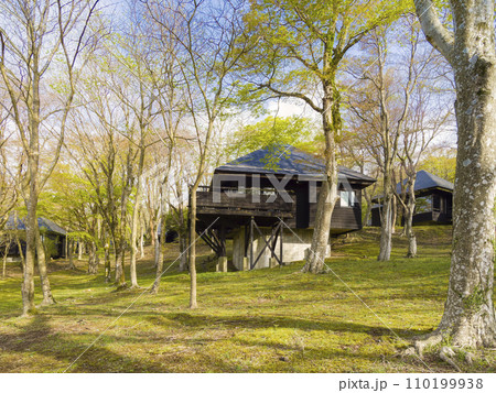 箱根・芦ノ湖キャンプ村 / Hakone, Japan 箱根・芦ノ湖キャンプ村 / Hakone, Japan 110199938