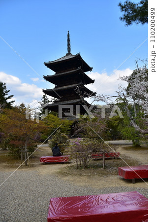 日本の春の京都　世界遺産の仁和寺　五重塔と美しい桜　赤い椅子の縁台が置かれた日本茶屋 110200499