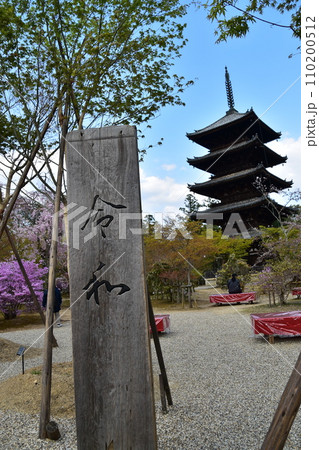 日本の春の京都　世界遺産の仁和寺　五重塔と美しい桜　赤色の縁台が置かれた茶屋と令和と書かれた木造看板 110200512