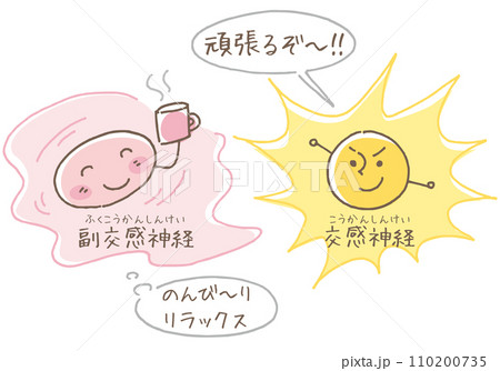 副交感神経と交感神経のはたらき 110200735