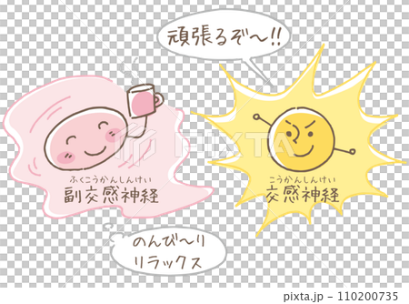 副交感神経と交感神経のはたらき 110200735