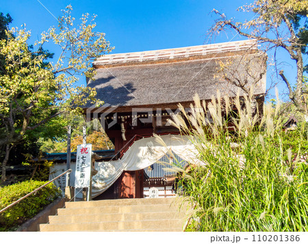 青空に映える山門の秋景色 青空に映える山門の秋景色 110201386