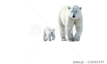 polar bear and baby on the transparent background 110201477