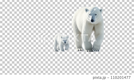 polar bear and baby on the transparent background 110201477