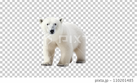 Polar bear on the transparent background 110201485