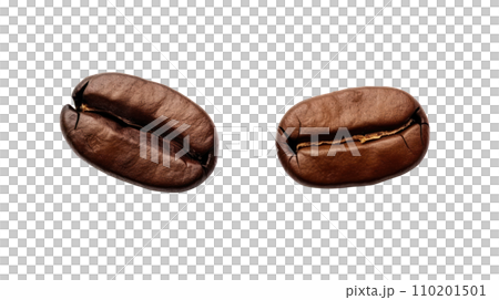 Coffee beans on the transparent background 110201501