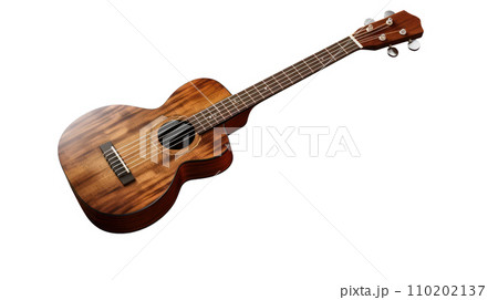 Wooden ukulele on the transparent background 110202137