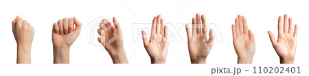 Hand gestures, greeting hi, fist up, hold, palm and clenched fingers set. Arm sign isolated on white 110202401
