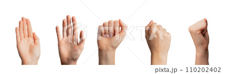Hand gesture, greeting signs with palm waving hi and fists raised up, isolated on white Hand gesture, greeting signs with palm waving hi and fists raised up, isolated on white 110202402