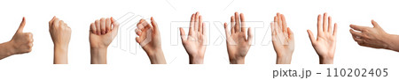 Different hand gestures, signs, symbols set. Taking, holding, showing fist, palm isolated on white Different hand gestures, signs, symbols set. Taking, holding, showing fist, palm isolated on white 110202405
