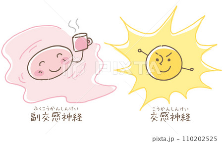 副交感神経と交感神経のイメージ 110202525