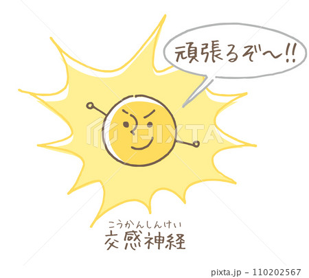 交感神経のイメージイラスト 110202567