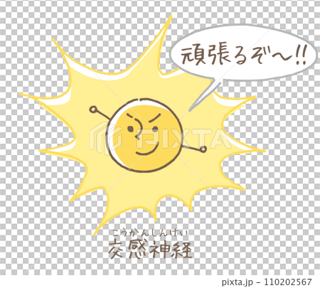 交感神経のイメージイラスト 110202567