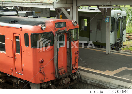 米坂線　キハ40系列とキハ110 110202646