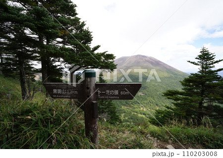黒斑山への登山道　トーミの頭付近から中コースに下る標識付近　2023年9月19日 110203008