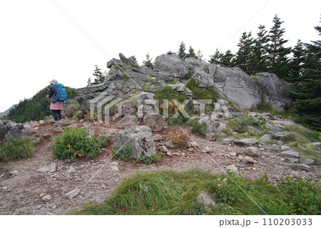 浅間山外輪山の蛇骨岳山頂付近 2023年9月19日 浅間山外輪山の蛇骨岳山頂付近 2023年9月19日 110203033