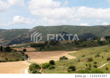 Panorama of the Jezreel Valley landscape, viewed from Mount Precipice. Northern Israel 110203307