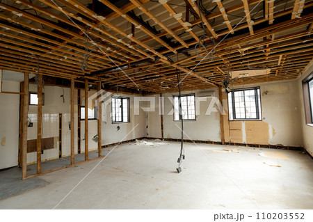 解体　スケルトン 110203552