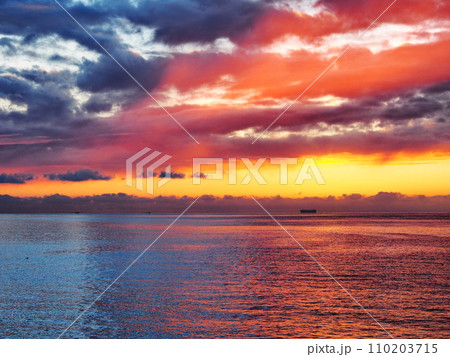 東京湾　浦賀水道 110203715