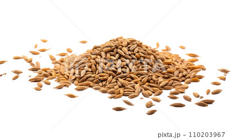 Malt on the transparent background Malt on the transparent background 110203967