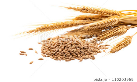 Malt on the transparent background 110203969