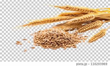 Malt on the transparent background 110203969