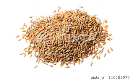 Malt on the transparent backgroundのイラスト素材 [110203970] - PIXTA