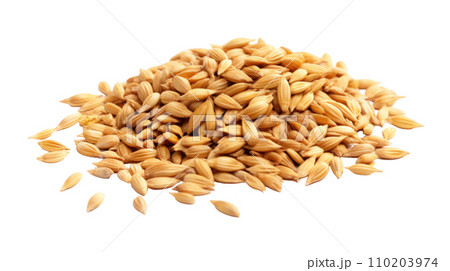 Malt on the transparent background Malt on the transparent background 110203974
