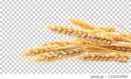 Wheat on the transparent background Wheat on the transparent background 110203980