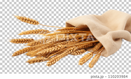 Wheat on the transparent background Wheat on the transparent background 110203984