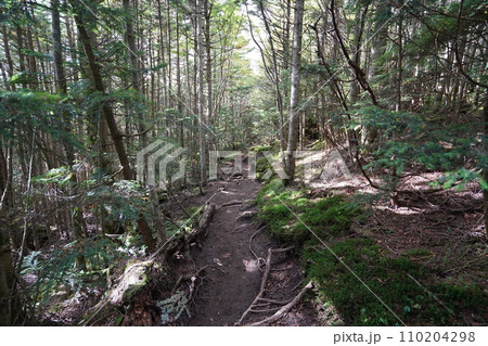 浅間山のトーミの頭付近から下る中コースの登山道　　2023年9月19日 110204298