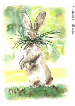 Watercolor illustration of rabbit eating a grass 110204370