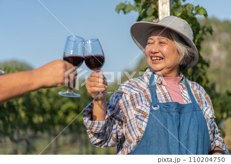 Happy old elderly couple with a glass of red wine celebrate the good harvest of grapes. Old couple of Asian flavors and checking red outside in a vineyard on a vineyard background. Happy old elderly couple with a glass of red wine celebrate the good harvest of grapes. Old couple of Asian flavors and checking red outside in a vineyard on a vineyard background. 110204750